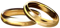 Anillos decorativos