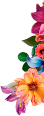 Adorno floral junto a la fotografía